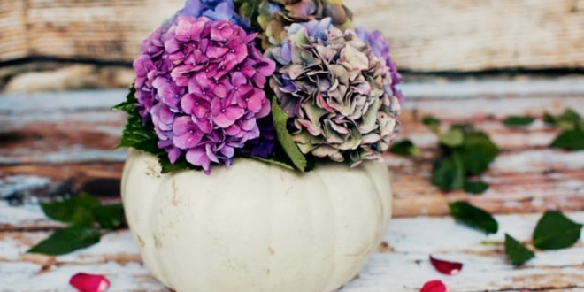 Tökből váza – őszi ötlet